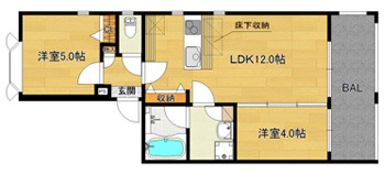 洋5×洋4×LDK12（44.3㎡）2LDKタイプ
