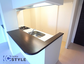 スタイリッシュで使い勝手の良いカウンターキッチン（504号）