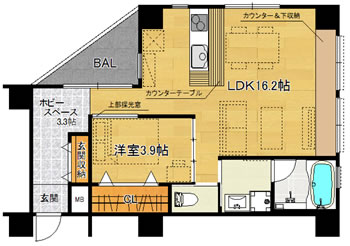 洋3.9×LDK16.2（50.45m<sup>2</sup>）
