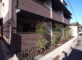 建物南側には、優しい植栽を配備